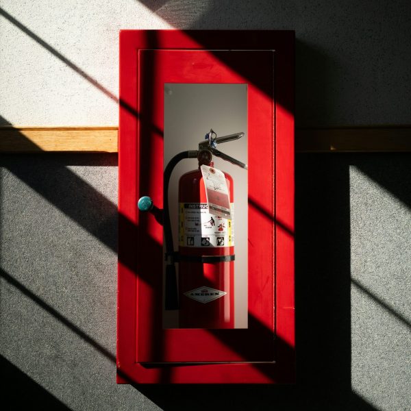 austin-Eqz3gGMdTsY-unsplash