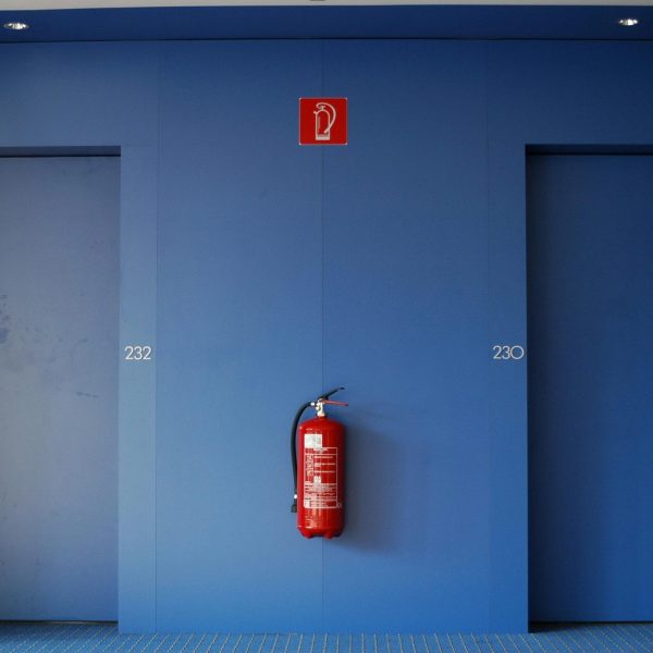 pexels-alfred-franz-114875410-30445560