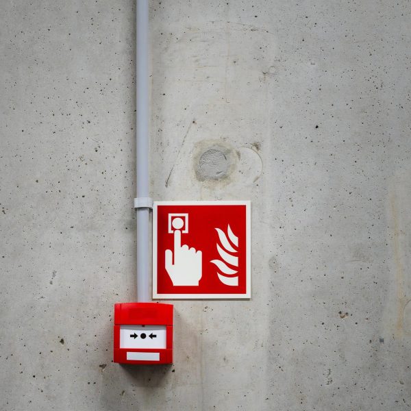 pexels-jakubzerdzicki-30535093